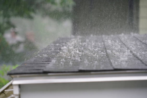 Best Roof Insulation Installation  in Lwa, CA